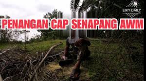 Hier ist die deutsche bedeutung für senapang gam panas Terjah Bader Hidu Gam Sting Aku Yahoo Youtube