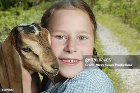 Two Children Young Girls In The Goat Enclosure At An Animal Sanctuary  High-Res Stock Photo