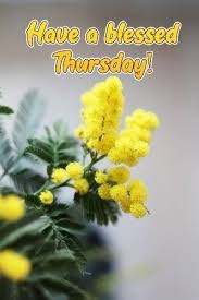 Maybe you would like to learn more about one of these? Pin By Lara On Happy Thursday Good Morning Beautiful People Good Morning Beautiful Happy Thursday