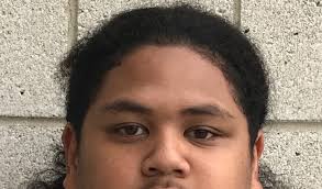 High school football: Juan Diego Soaring Eagle 2019 preview