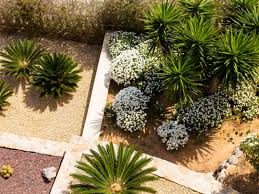 How to design a desert garden. Xeriscape Solutions For Common Landscape Problems