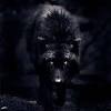 Men tend to emphasize the strongest aspects of this beast. 3