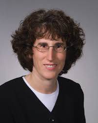 Hammes-Schiffer Receives National Institutes of Health MERIT Award