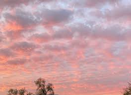 Thomas Collins Davis Obituary