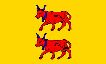 Drapeau du Béarn — Wikipédia
