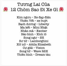Hình ảnh có liên quan