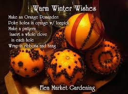 Orange Clove Pomanders The English Word Pomander Comes From The French Pomme D Ambre Meaning Apple Of A Orange Christmas Orange Clove Orange Pomanders