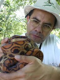 El manejo de los hipopótamos en Colombia debe ser con la razón y no con el  corazón”