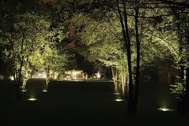 Idra Tree Lighting Landscape Lighting Driveway Lighting