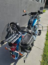 Image result for Aqua Pearl 1994 FLSTF