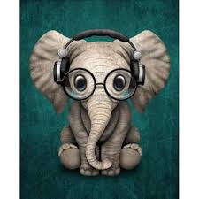 Cool Elephant Cute Baby Elephant Baby Elephant Cute Animals