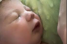 Fundraiser by Andrea Menary : Rocco's Neonatal Intensive Care