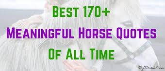 And as i walk off into the city streets, a final word to the men and women of the reagan revolution, the men and women across america who for 8. Best 170 Meaningful Horse Quotes Of All Time 2021 Trytutorial