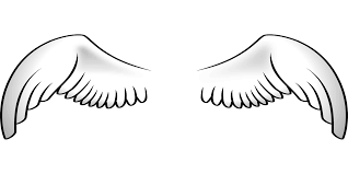 To explore more similar hd . Angel Wings Feathers Free Vector Graphic On Pixabay