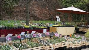 Veranstaltungen Und Gartentage Neueste Termine Fur 2020 Siehe Ganz Unten Sarastro Stauden