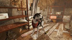 Dogmeat Helmets And Hats At Fallout 4 Nexus Mods And Community Fallout 4 dogmeat armor screenshot guide shows where to find gear for dog, armor preview, and how to equip armor on your companion. dogmeat helmets and hats at fallout 4