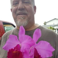 Is 40% shade cloth too dark for Cattleyas, Oncidiums, Brassias, and Vandas?