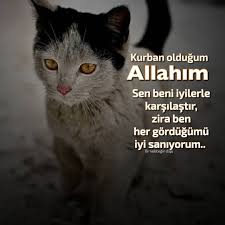 Inanin Oyle Saniyorum Rabbim Iyilerle Karsilastirsin Birkelebegindusu Bir Kelebegin Dusu Edebiyat Sair Felsefe Guze Edebiyat Felsefe Alintilar