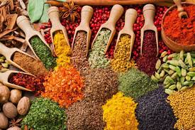 Zanzibar Spice Tour gallery 2