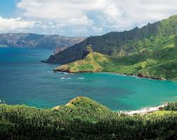 Image result for Marquesia