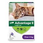II for Large Cats Advantage