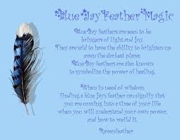 Birds Of A Feather Saying Blue Bird Feathers Feather Magic Blue Jay Feather Jay Feather