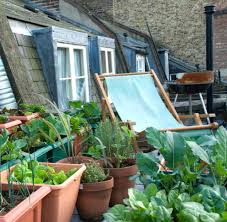 Tipps Fur Urban Gardening Und Pflanzen Dem Balkon Welt