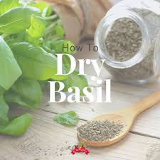 It's handy to have a supply when they are out of season. How To Dry Fresh Basil In The Oven The Kitchen Garten