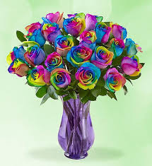Product reviews & rating leave a review. Pictures Of Rainbow Flowers