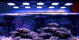 How Many Led Modules Selecting And Spacing Reef Tank Led Lighting Options Reef Faqs Bulk Reef Supply