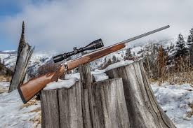 Hornady's 6.5 creedmoor cartridge positively exploded onto the scene in 2007. Home Howa Usa