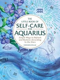 Everything You Need To Know About Self Care Especially For Aquarius Little Books Books Aquarius
