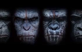 Caesar Planet Of The Apes Wallpapers Wallpaper Cave It looks like woody harrelson just can't catch a break when it comes to rebellions. caesar planet of the apes wallpapers