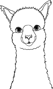 Alpaca Drawing Coloring Page Alpaca Drawing Animal Coloring Pages Llama Painting