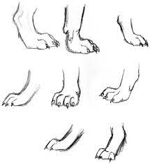 I would suggest referencing various poses of feet and the forms they differ from. Wolf Study Feet By Wolfsilvermoon On Deviantart