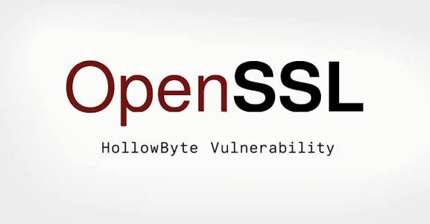 OpenSSL HollowByte DoS Vulnerability