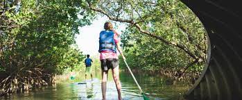 Whether you love exploring as a loner or your strength is in multitudes of people, hiking here is a perfect way to unwind alone or. Oleta River State Park Florida State Parks