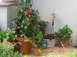 Check spelling or type a new query. 10 Conseils Pour Prendre Soin De Ses Plantes Pendant Les Vacances