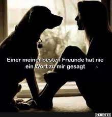 „wie geht es dir? oft handelt es sich dabei nur um eine plattitüde, eine art eisbrecher beim smalltalk, um ins gespräch zu finden. Einer Meiner Besten Freunde Hat Nie Hund Zitat Spruche Tierliebe Spruche