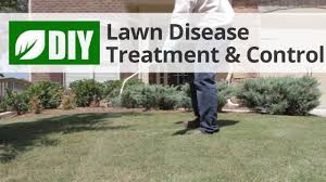 You can do this by measuring the length and width of your yard, then multiplying those numbers together (length x width = square footage). Diy Lawn Care Calendar Maintenance Schedule For Warm Season Grasses