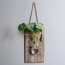 Shabby Chic Pflanzengefasse Kaufen Pflanzen Shabby Pflanzengefasse