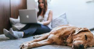 You're free from commuting and office life, but also lonely and frequently unshowered and wearing pajamas until 3. Happy Healthy Productive 7 Tips For Working From Home