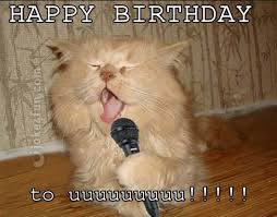 Joke4fun Memes Cat Will Perform A Birthday Song Just For You Birthdays are the best days of the year, so make this a year to remember with one of our best birthday wishes with images and pictures for everyone for some people, birthdays are just another day that includes cake and ice cream. cat will perform a birthday song just