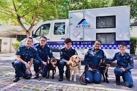 Are you looking for professional advice? Two Canines To Join New Year S Eve Patrol At Marina Bay Singapore News Top Stories The Straits Times