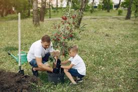 Use them in commercial designs under lifetime, perpetual & worldwide rights. Download Father With Little Son Are Planting A Tree On A Yard For Free In 2020 Plants Trees To Plant Free Photos