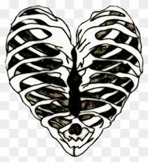 A collection of the top 35 rib cage wallpapers and backgrounds available for download for free. Edits Ribs Ribcage Heart Bones Art Stickers Rib Cage Transparent Png Clipart 996057 Pinclipart