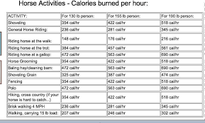 Equestrian Activities Do Count As Exercise Equine Ink