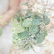 Check spelling or type a new query. Tillandsias Succulent Designs Green Wedding Bouquet Wedding Mint Green Mint Bouquet