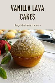 Vanilla Lava Cakes Lava Cakes Vanilla Lava Cake Recipe Lava Cake Recipes
