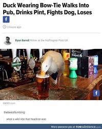 Lively, original, and powerfully informative, plato and a platypus walk into a bar. Channa Prakash On Twitter Duck With An Attitude